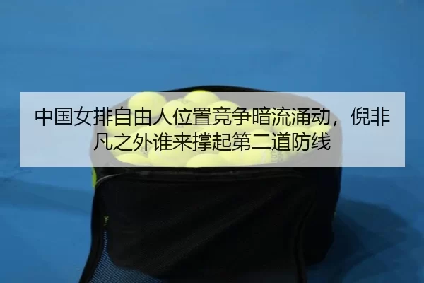 zhong-guo-nv-pai-zi-you-ren-wei-zhi-jing-zheng-an-liu-yong-dong-ni-fei-fan-zhi-wai-shui-lai-cheng-qi-di-er-dao-fang-xian-2-180.jpg